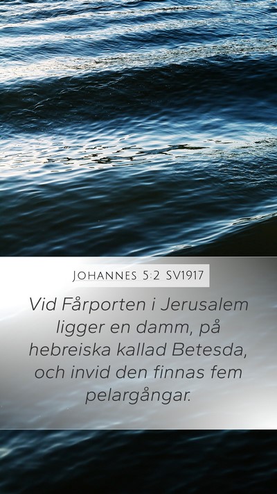 Johannes 5:2 SV1917 Bible Verse Image