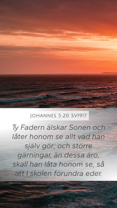 Johannes 5:20 SV1917 Bible Verse Image