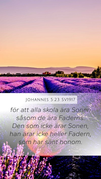 Johannes 5:23 SV1917 Bible Verse Image