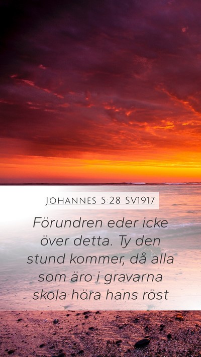 Johannes 5:28 SV1917 Bible Verse Image