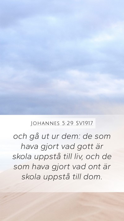 Johannes 5:29 SV1917 Bible Verse Image