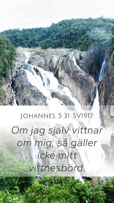 Johannes 5:31 SV1917 Bible Verse Image