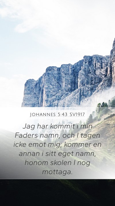 Johannes 5:43 SV1917 Bible Verse Image