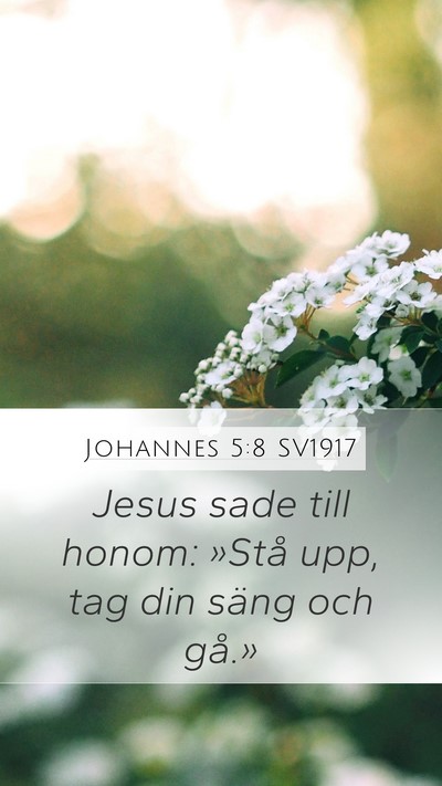 Johannes 5:8 SV1917 Bible Verse Image