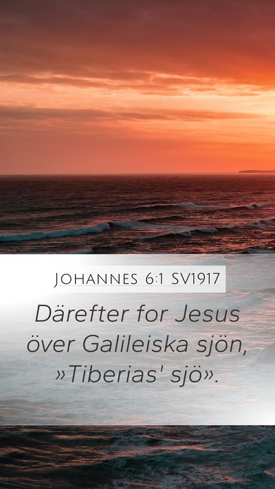 Johannes 6:1 SV1917 Bible Verse Image
