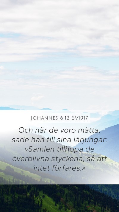 Johannes 6:12 SV1917 Bible Verse Image