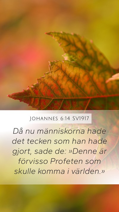 Johannes 6:14 SV1917 Bible Verse Image