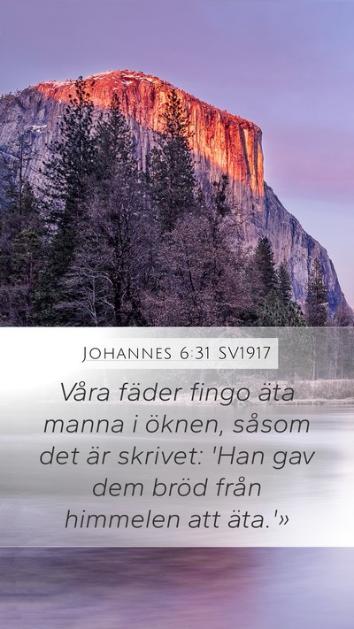 Johannes 6:31 SV1917 Bible Verse Image