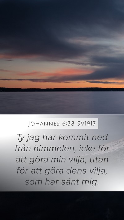Johannes 6:38 SV1917 Bible Verse Image