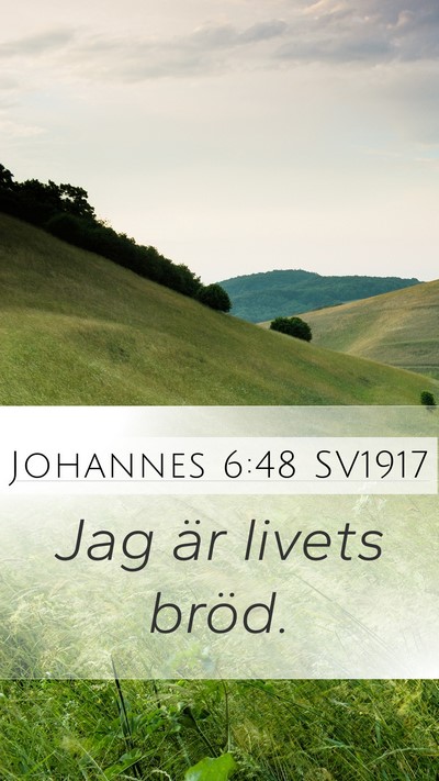 Johannes 6:48 SV1917 Bible Verse Image