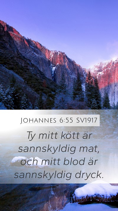 Johannes 6:55 SV1917 Bible Verse Image