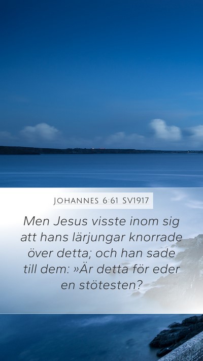 Johannes 6:61 SV1917 Mobile Phone Wallpaper - Men Jesus visste inom sig att hans lärjungar - Mobile Bible Verse Wallpaper