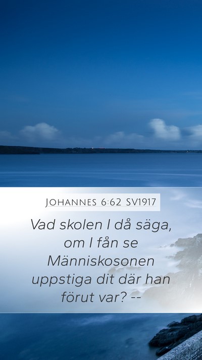 Johannes 6:62 SV1917 Bible Verse Image