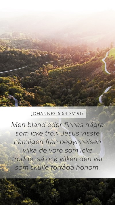 Johannes 6:64 SV1917 Bible Verse Image