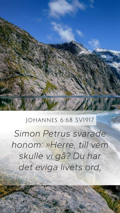 Johannes 6:68 SV1917 Bible Verse Image