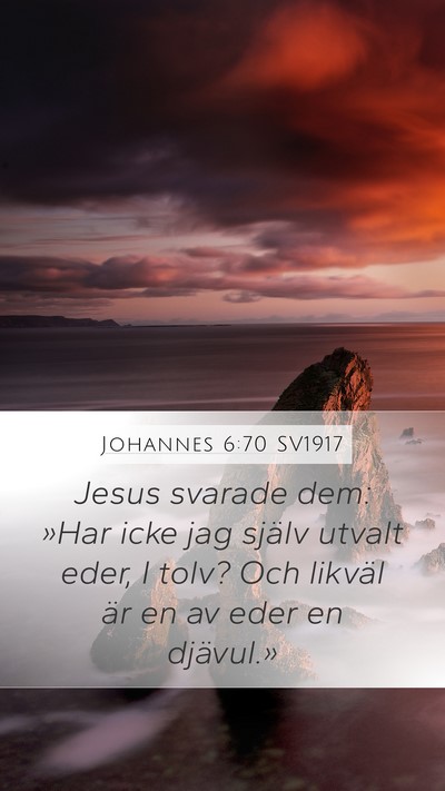 Johannes 6:70 SV1917 Bible Verse Image