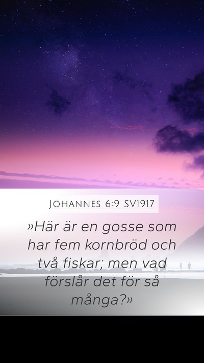 Johannes 6:9 SV1917 Mobile Phone Wallpaper - »Här är en gosse som har fem kornbröd och - Mobile Bible Verse Wallpaper