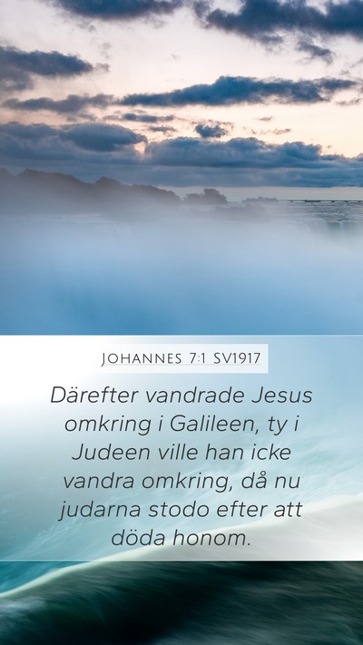 Johannes 7:1 SV1917 Bible Verse Image