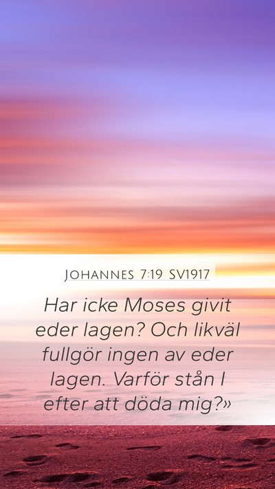 Johannes 7:19 SV1917 Bible Verse Image