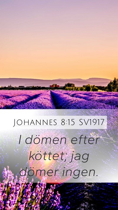 Johannes 8:15 SV1917 Bible Verse Image