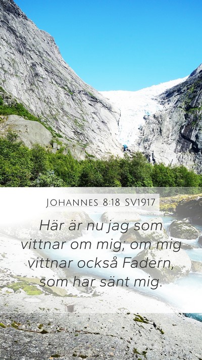 Johannes 8:18 SV1917 Bible Verse Image
