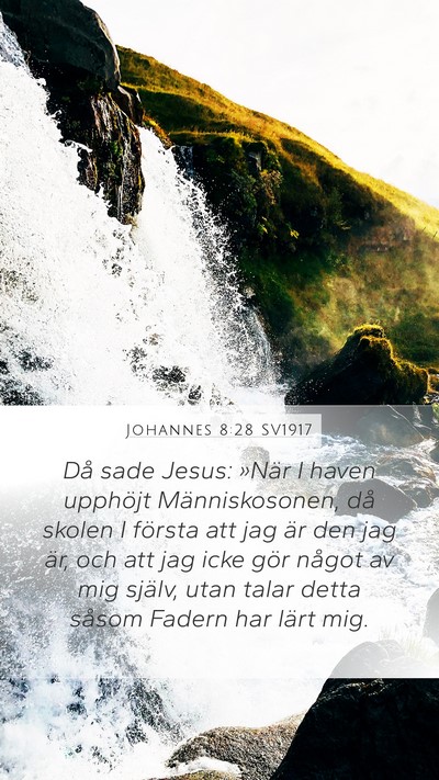 Johannes 8:28 SV1917 Bible Verse Image