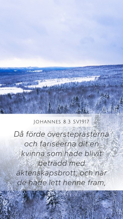 Johannes 8:3 SV1917 Bible Verse Image