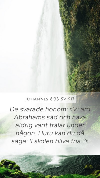 Johannes 8:33 SV1917 Bible Verse Image
