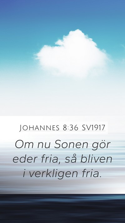Johannes 8:36 SV1917 Bible Verse Image