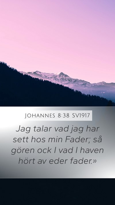 Johannes 8:38 SV1917 Bible Verse Image