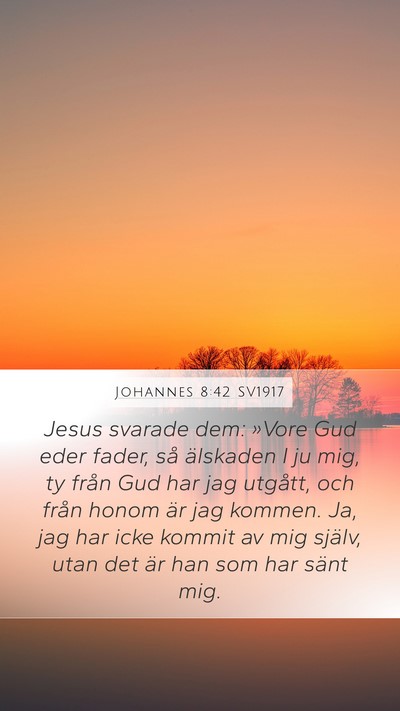 Johannes 8:42 SV1917 Bible Verse Image