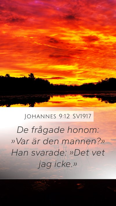 Johannes 9:12 SV1917 Mobile Phone Wallpaper - De frågade honom: »Var är den mannen?» Han - Mobile Bible Verse Wallpaper