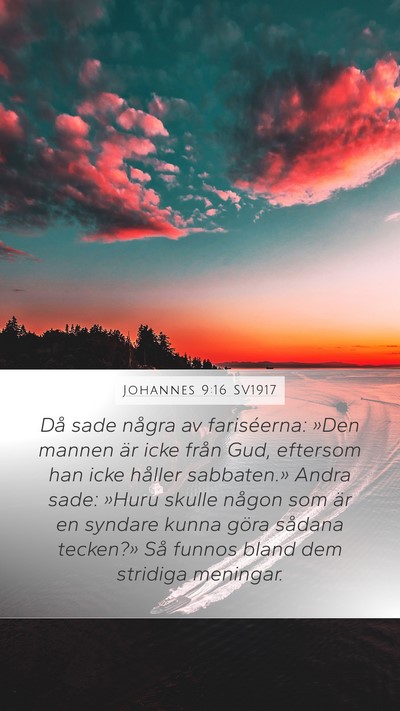 Johannes 9:16 SV1917 Bible Verse Image