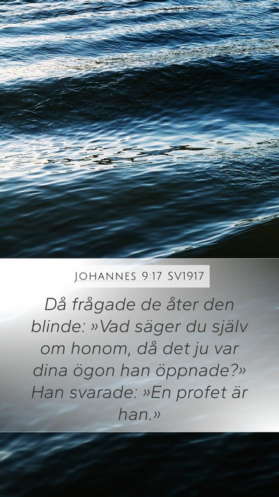 Johannes 9:17 SV1917 Bible Verse Image