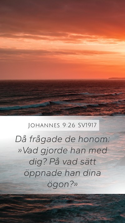 Johannes 9:26 SV1917 Bible Verse Image