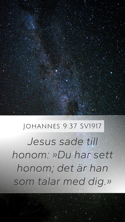 Johannes 9:37 SV1917 Bible Verse Image