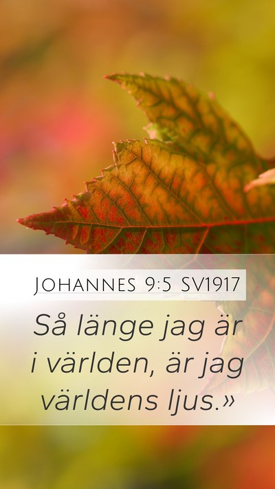 Johannes 9:5 SV1917 Bible Verse Image