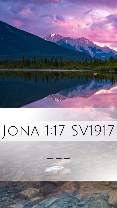 Jona 1:17 SV1917 Bible Verse Image