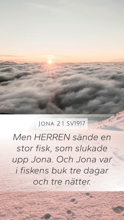 Jona 2:1 SV1917 Bible Verse Image