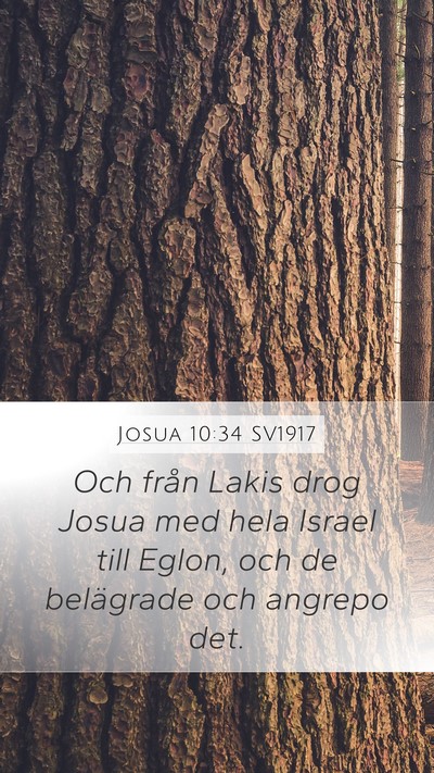 Josua 10:34 SV1917 Mobile Phone Wallpaper - Och från Lakis drog Josua med hela Israel till - Mobile Bible Verse Wallpaper