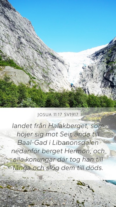 Josua 11:17 SV1917 Bible Verse Image