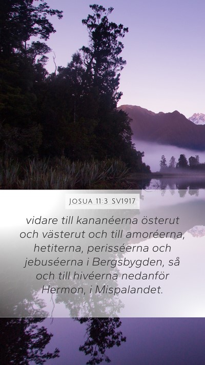 Josua 11:3 SV1917 Bible Verse Image