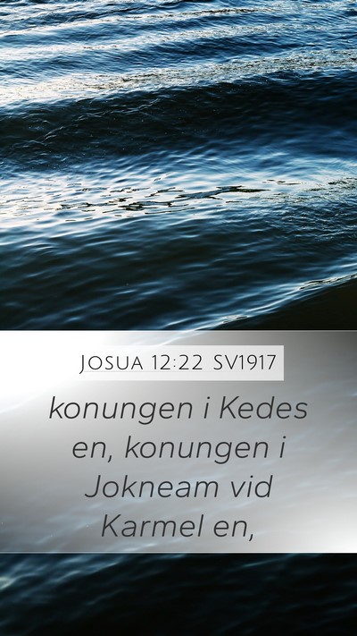 Josua 12:22 SV1917 Bible Verse Image