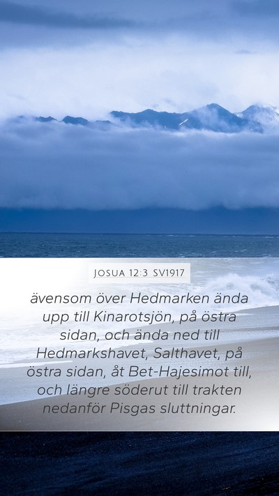 Josua 12:3 SV1917 Bible Verse Image