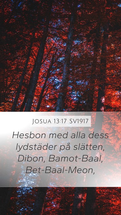 Josua 13:17 SV1917 Bible Verse Image