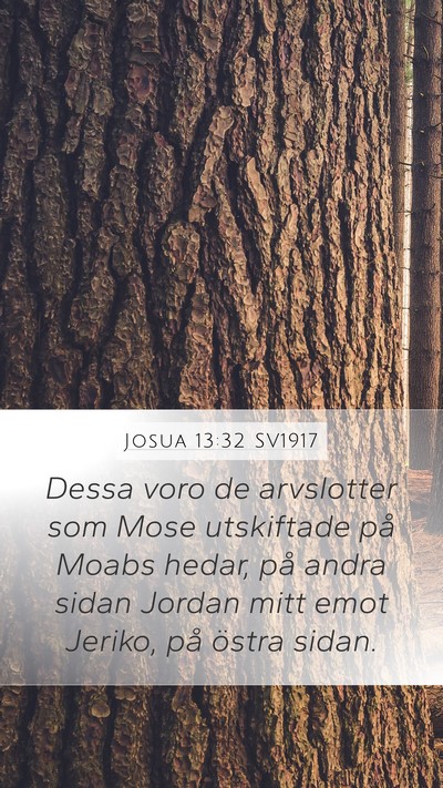 Josua 13:32 SV1917 Bible Verse Image