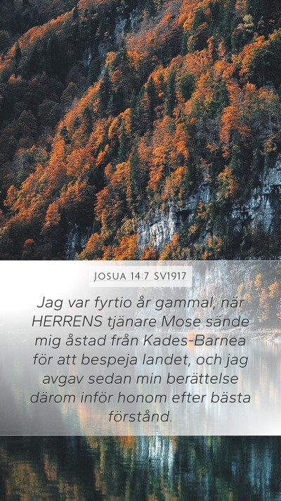 Josua 14:7 SV1917 Bible Verse Image
