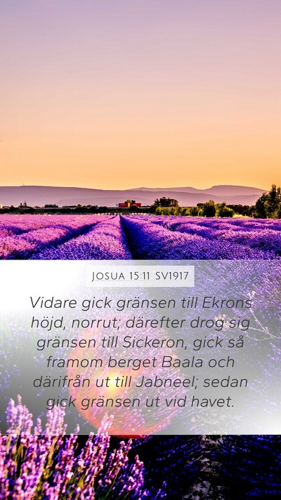 Josua 15:11 SV1917 Mobile Phone Wallpaper - Vidare gick gränsen till Ekrons höjd, norrut; - Mobile Bible Verse Wallpaper