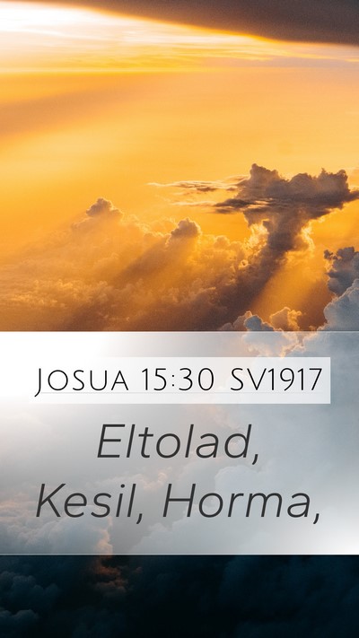 Josua 15:30 SV1917 Bible Verse Image