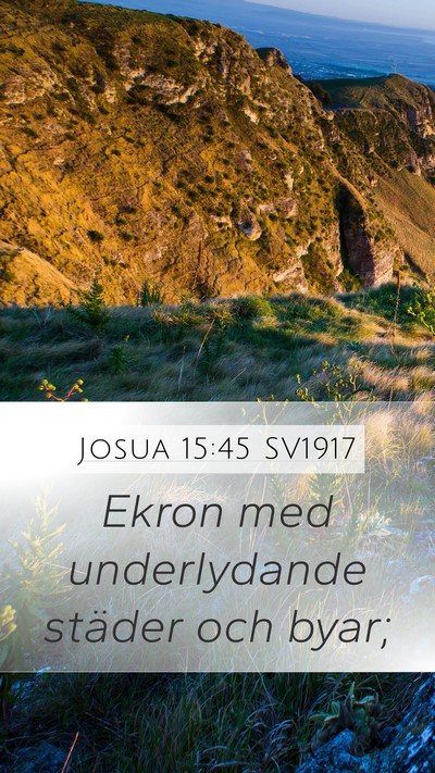 Josua 15:45 SV1917 Bible Verse Image